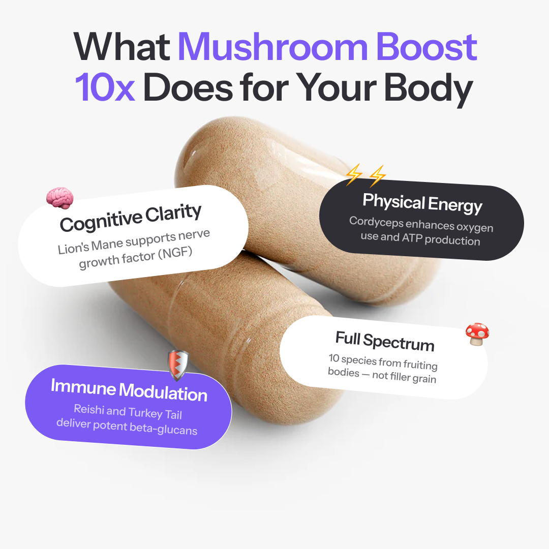 Mushroom Boost 10x 60ct
