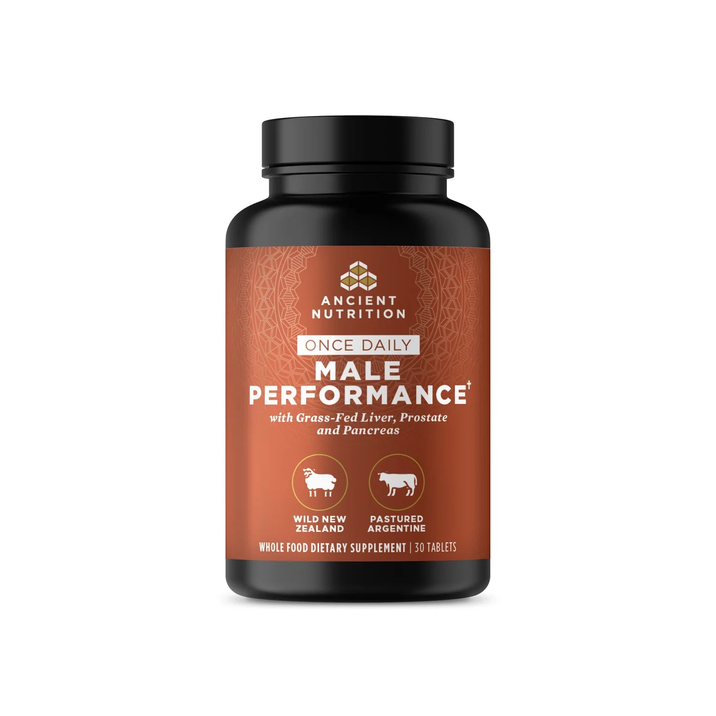Ancient Nutrition® Male Performance