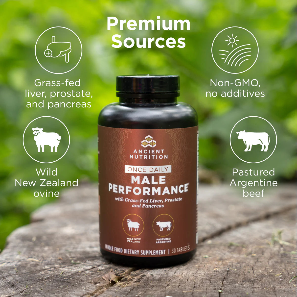 Ancient Nutrition® Male Performance