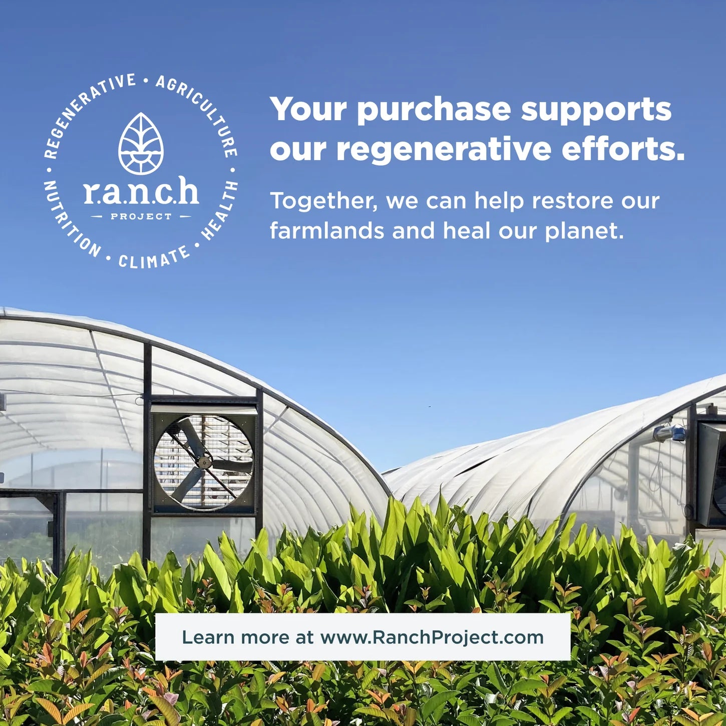 Ancient Nutrition® Whey Protein + Fat Loss Cinnamon Vanilla