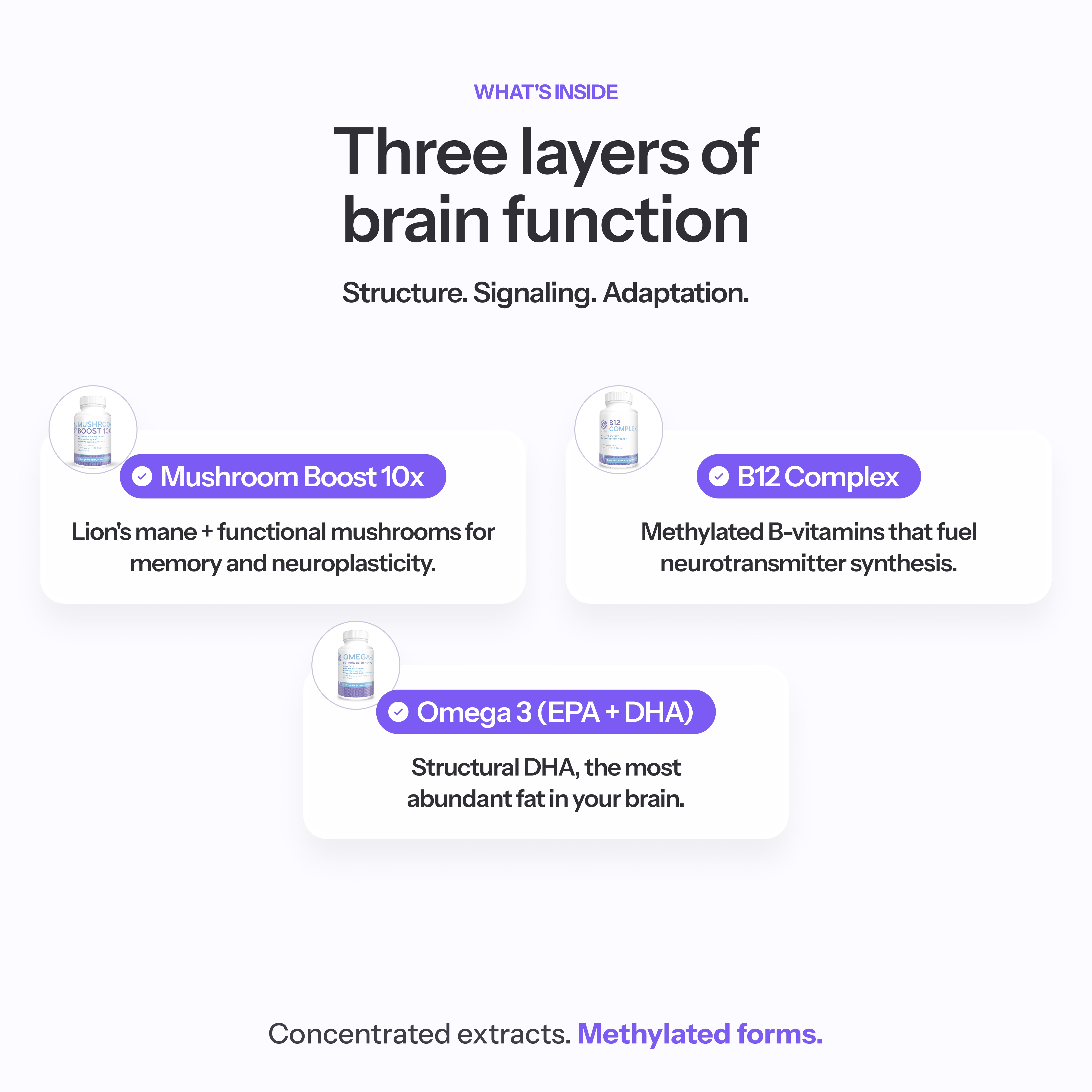 Brain & Focus